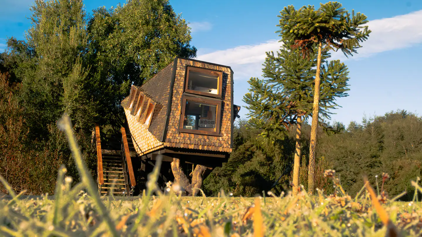Casa Arbol